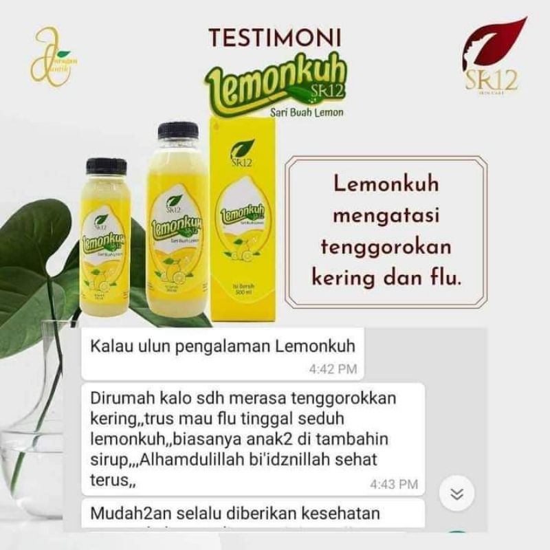 

lemonkuh