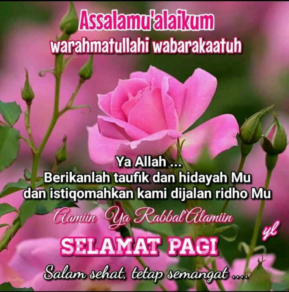 Trolistore Grosir Baju Batik Koko Motif Bintang Lima Pjg Lengan Panjang Sablon Emas Batik Muslim