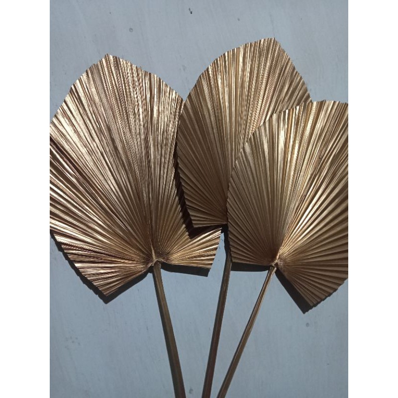 palem gold/daun kering/dekor rustik
