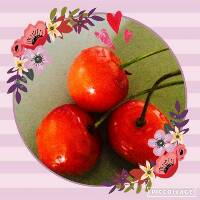 titikkartikamakjanime