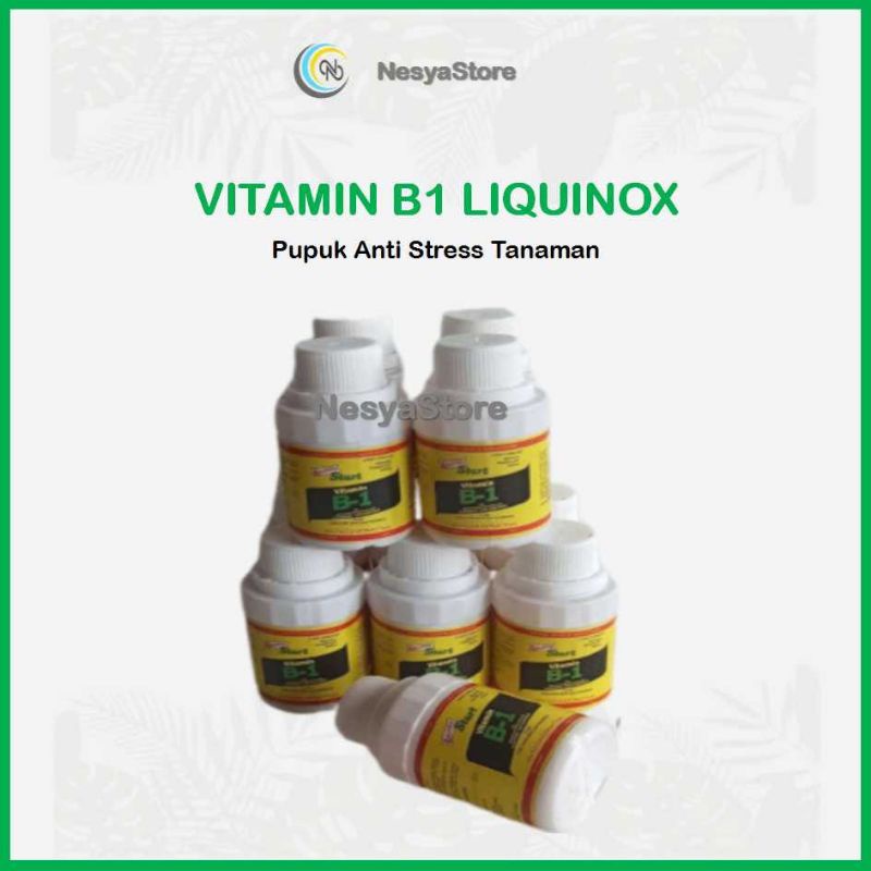 Pupuk Vitamin B1 vit B1 Liquinox Start Pupuk Tanaman Anti Stres Original 100 ml