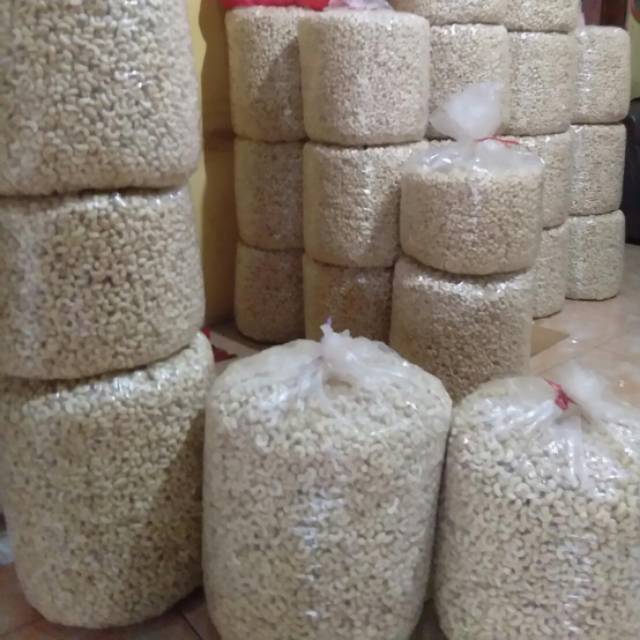 

Kacang Mede Mentah dari Wonogiri