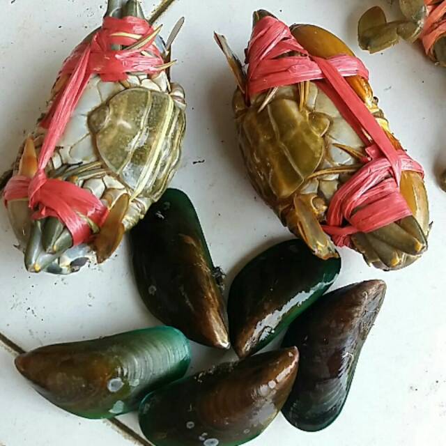 

Paket Hemat 5kg ( piting telur full1kg+ijo4kg)