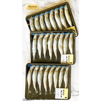 

Premium Ikan Shisamo Capelin Fish