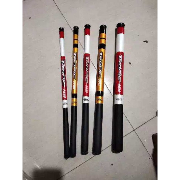 Tegek ruas pendek centro tropic kaku