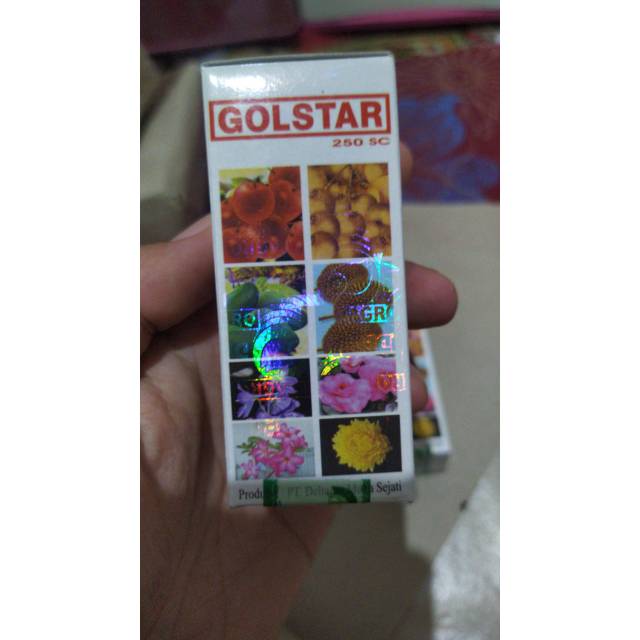 pupuk perangsang buah mangga