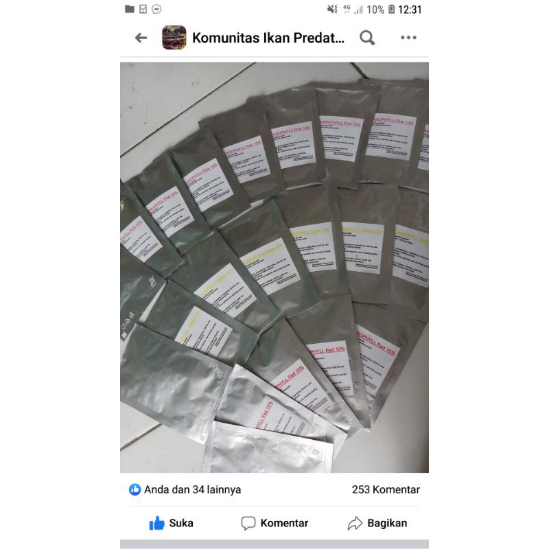 DSM carophyll yellow kuning