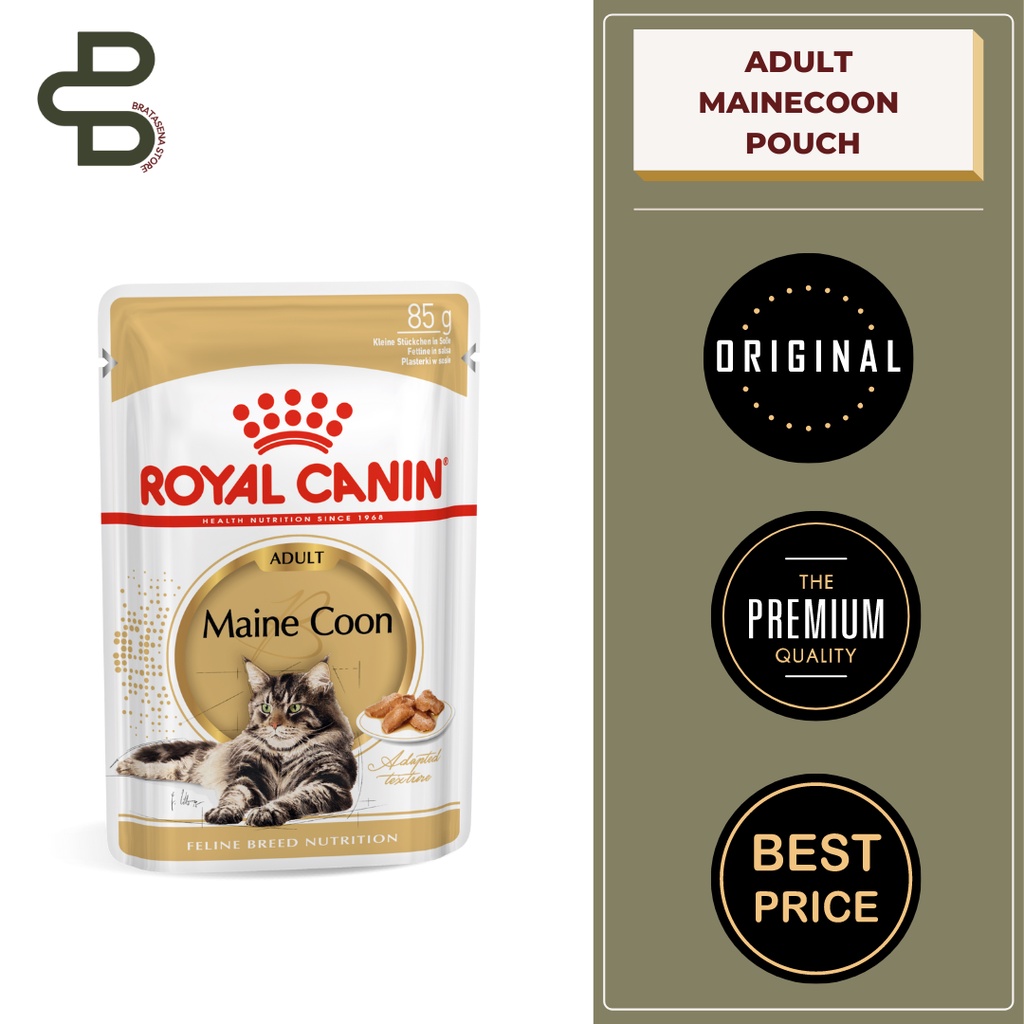 ROYAL CANIN ADULT MAINECOON POUCH 85 GR (SACHET)