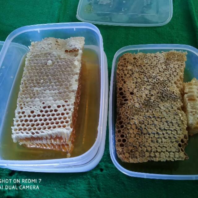 

Madu Asli 1Kg Book Dan Lebahnya