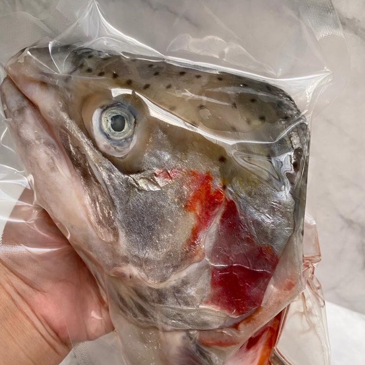 

Kepala Ikan Salmon Salmon Fish Head