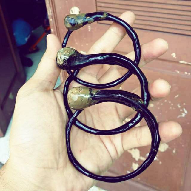 Akar bahar hitam bonggol berbatu alami minimalis.