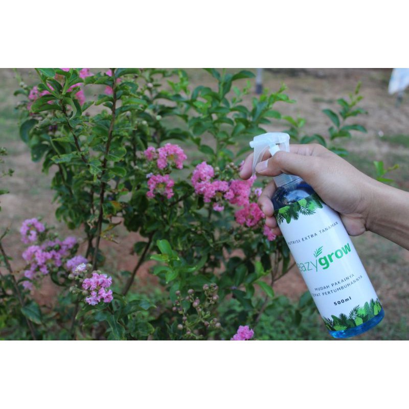 PROMO PAKET HEMAT 1 SPRAY + REFILL Pupuk cair, Pupuk tanaman hias, Paket Eazygrow