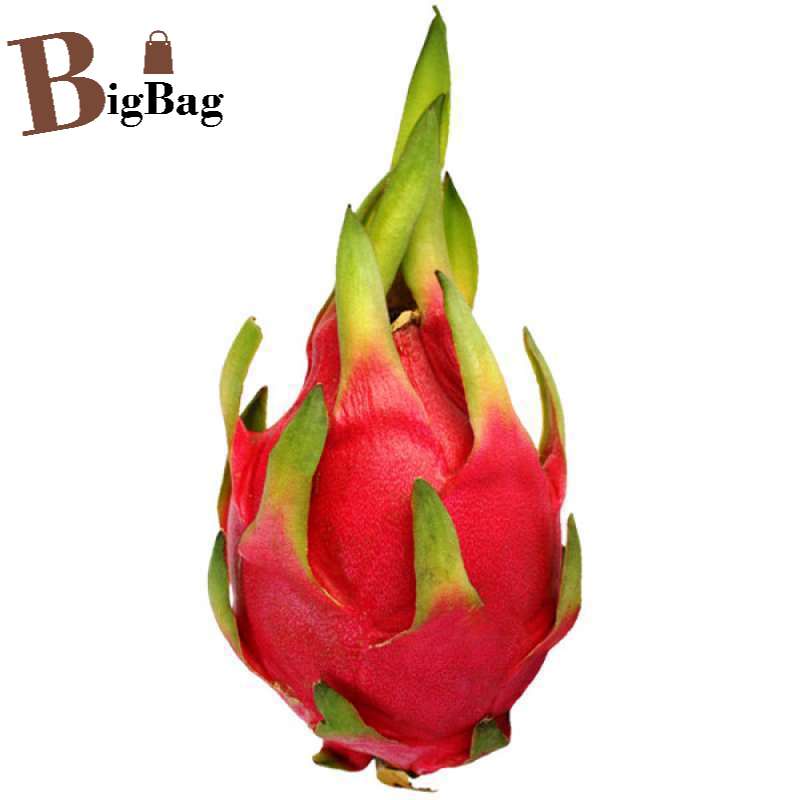 

BigBag - Buah Naga Merah / 1 Kg