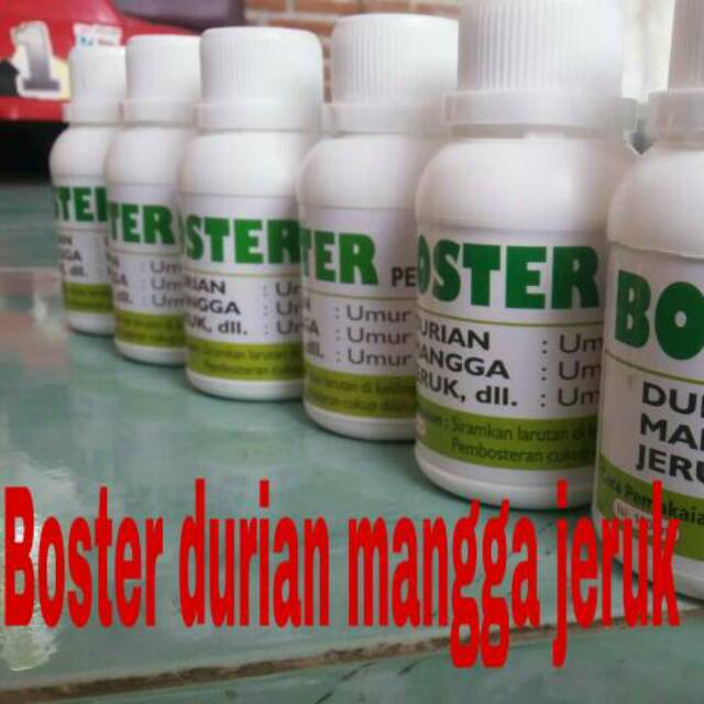 Pupuk pembuahan (Boster Durian mangga jeruk)