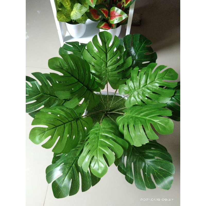 monstera plastik