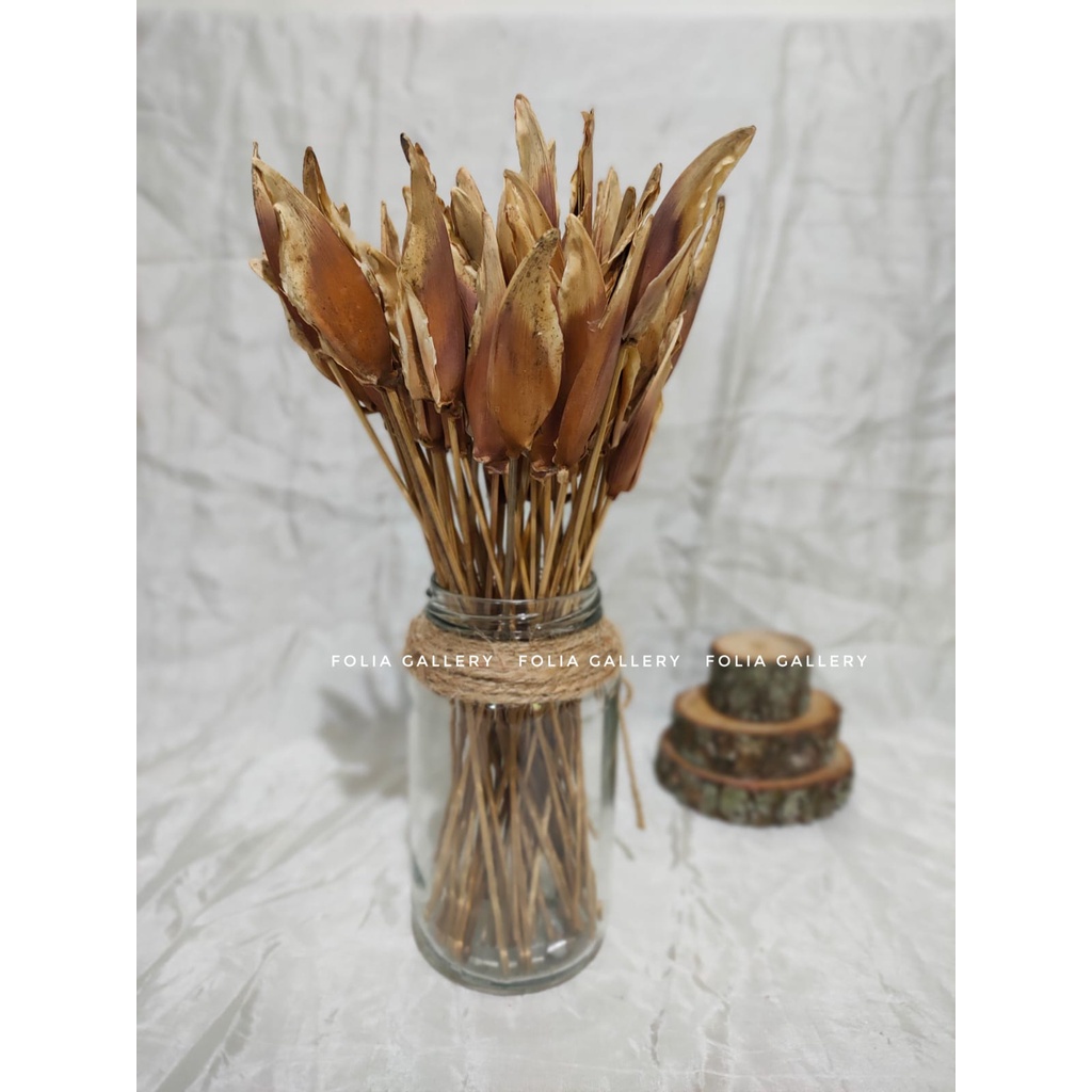 FG - 10 PCS BUNGA PISANG PISANGAN -Hiasan Buket Bunga Kering Dekorasi Rustic Mahar Craft Dried Flowe