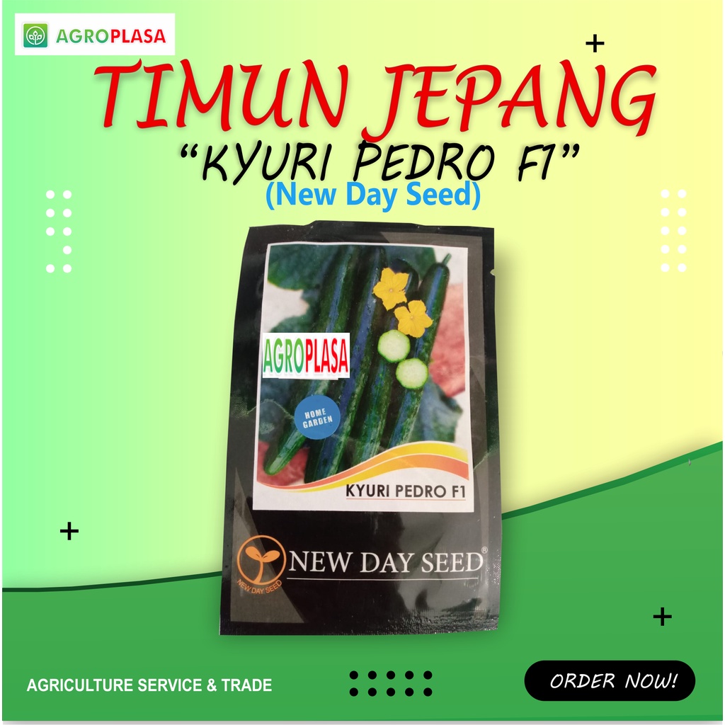 Benih Timun Jepang KYURI PEDRO F1 - NEW DAY SEED