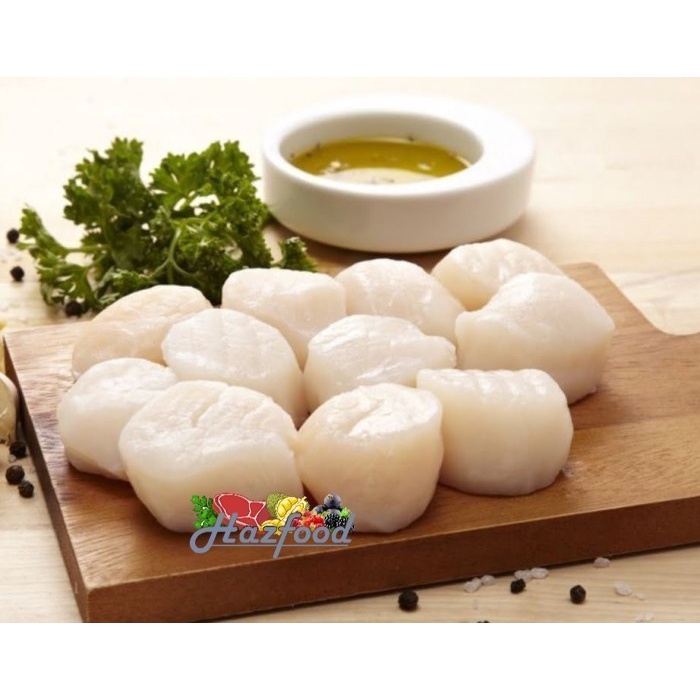 

Scallop Daging Kerang Srimping Ukuran 60/80 - 500 gram