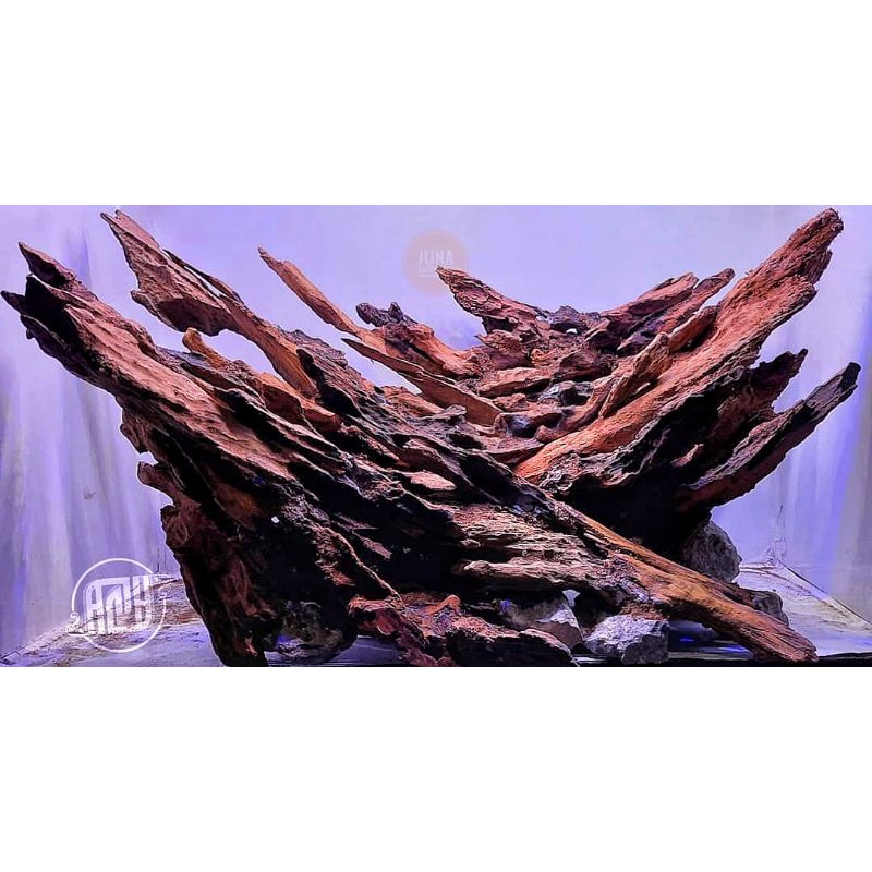 KAYU RENTEK (MURAH BANGET) DRIFTWOOD AQUASCAPE AQUARIUM REFTIL
