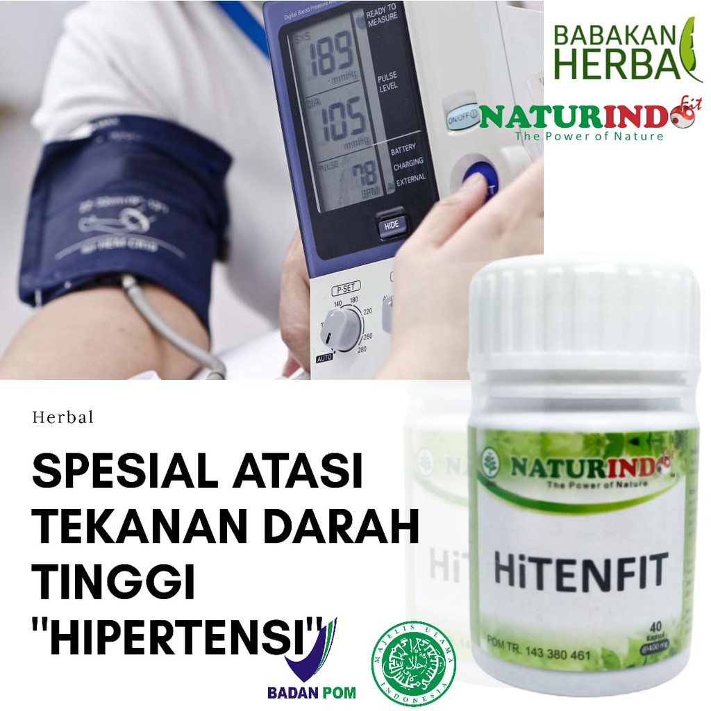 

Obat Herbal Naturindo HiTENFIT Spesial Menurunkan Hipertensi Tekanan Darah Tinggi