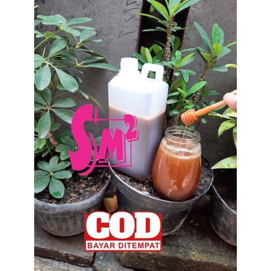 

[PROMO ] Madu sialang sumatera (kampar) netto 1 kg madu hutan sialang