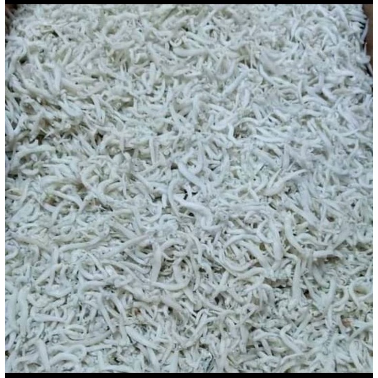 

Teri medan 250 gram