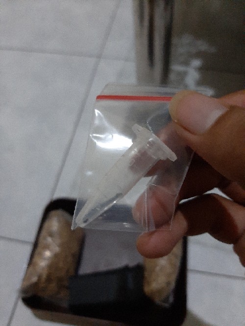 Biji / Benih / Seed Tanaman Karnivora Venus Flytrap