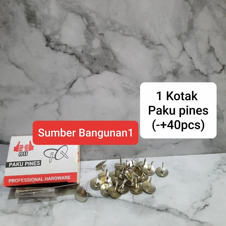 Paku pines paku payung kecil lis kayu kasa nyamuk karpet kawat
