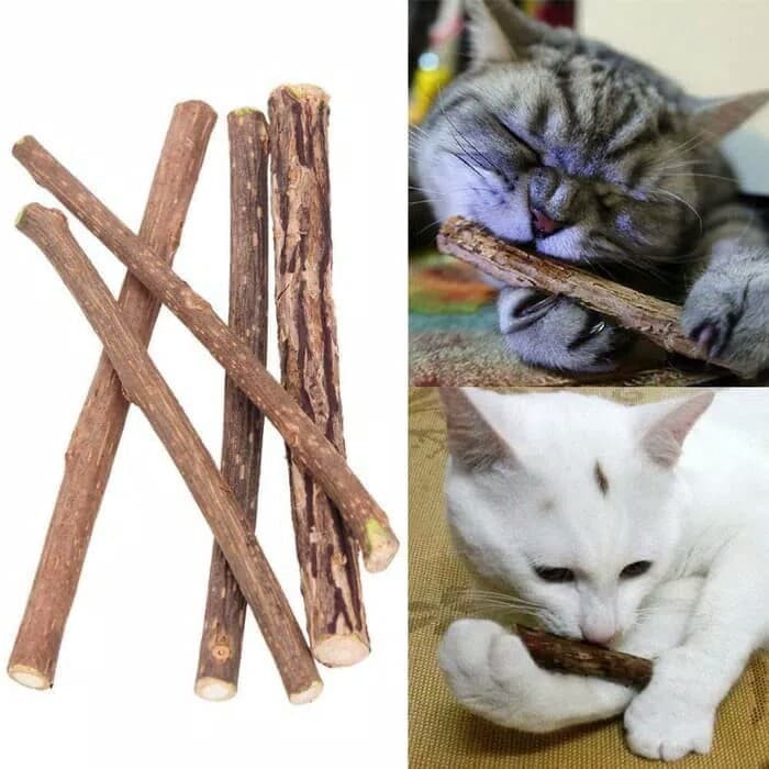 Catnip Kucing Stick Snack Mainan Kucing Natural Matabi Cat Toys Catnip FEFARM