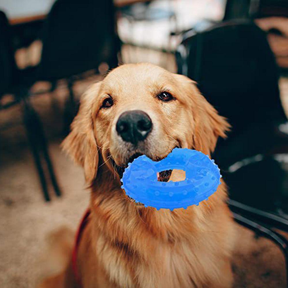 [Elegan] Mainan Gerinda Gigi Menarik Tidak Berbau Freezeable Cool Safety Chew Toys