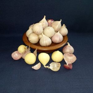 

Jual Bawang Putih Lanang Fresh / Bawang Tunggal Fresh Murah