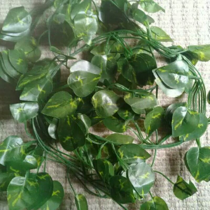 Daun Sirih Gading Rambat Kecil Artificial 1 Sulur (2 Meter)