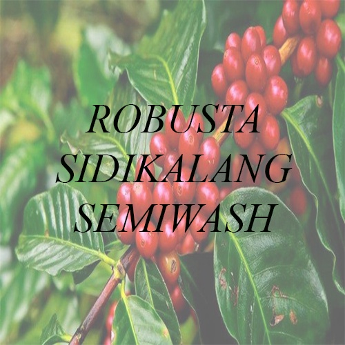 

[Green Bean] Robusta Sidikalang Semiwash