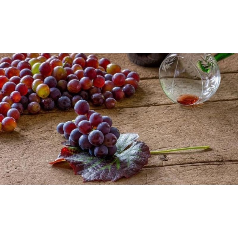 

Buah Anggur Ruby Roman