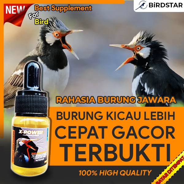PIOONERVET - PROMO X-POWER OBAT VITAMIN BURUNG LOVEBIRS KENARI KACER JALAK SUREN MURAI BATU PLECI