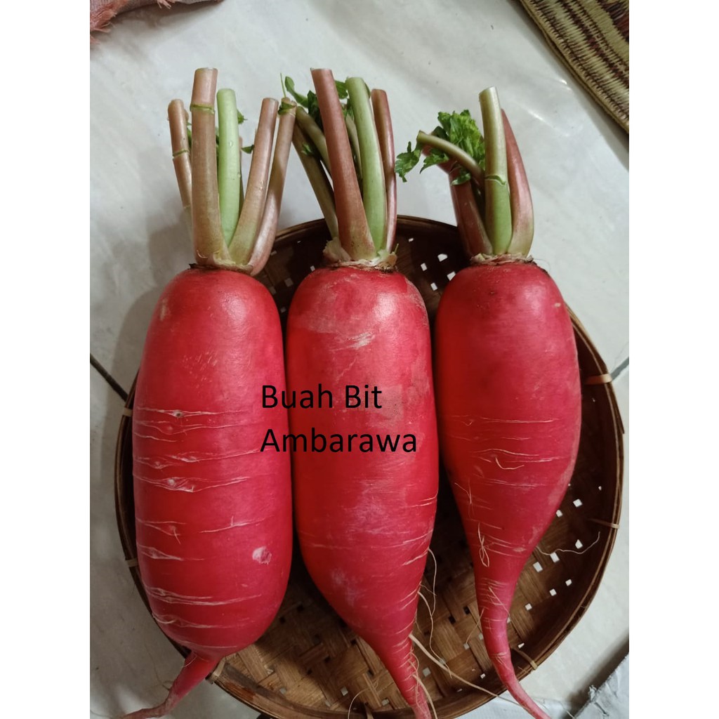 Lobak Merah Sayur Segar Obat Shopee Indonesia