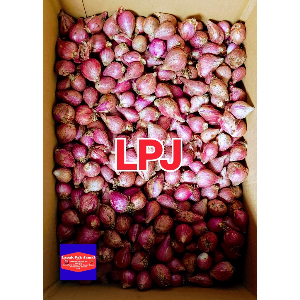 

Bawang MERAH BREBES SUPER - 250 Gram - LPJ