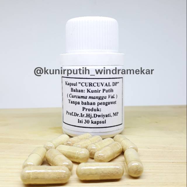 

HERBAL-KAPSUL KUNIR PUTIH UNTUK KOLESTEROL, BENJOLAN, PENELITIAN PROF DWIYATI PUJIMULYANI