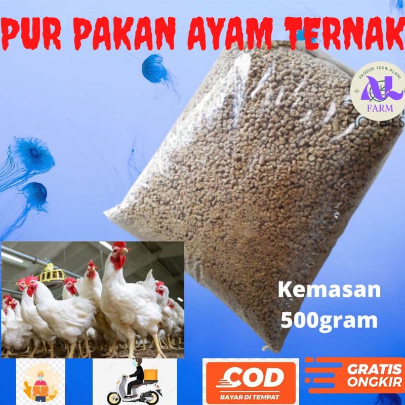 Pur pakan ayam pedaging ayam petelur Pakan ayam kampung  (CP511) ALFARM