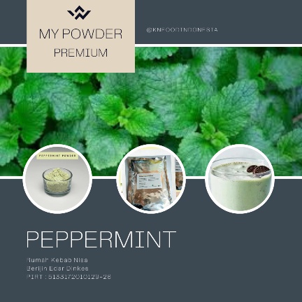 

Premium Powder Rasa Peppermint-1Kg