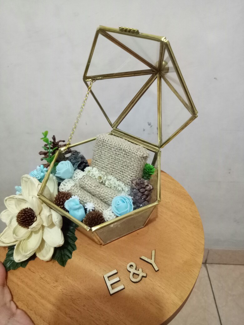 Ring Box Terrarium S6 Pentul 2in1