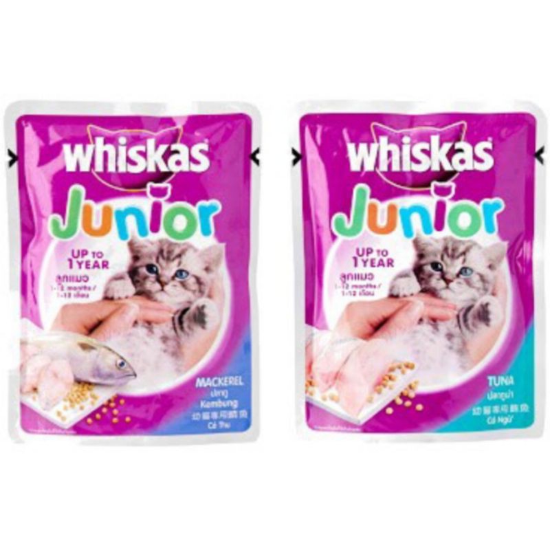 whiskas Junior Makanan Kucing Basah