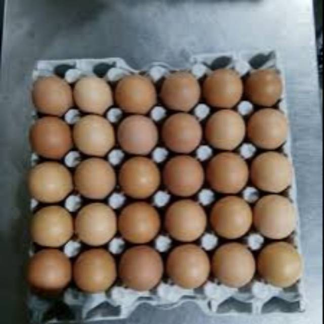 

Telur Ayam Negeri 30 Butir