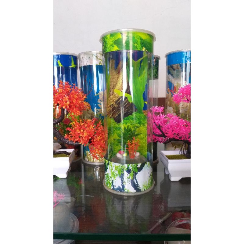 aquarium mini
