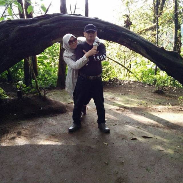 desifrestiariharvina