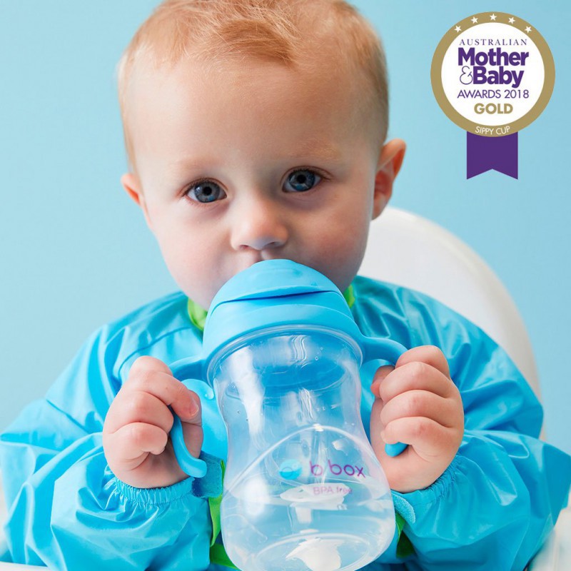 Bbox Sippy Cup 240 ml - Blueberry