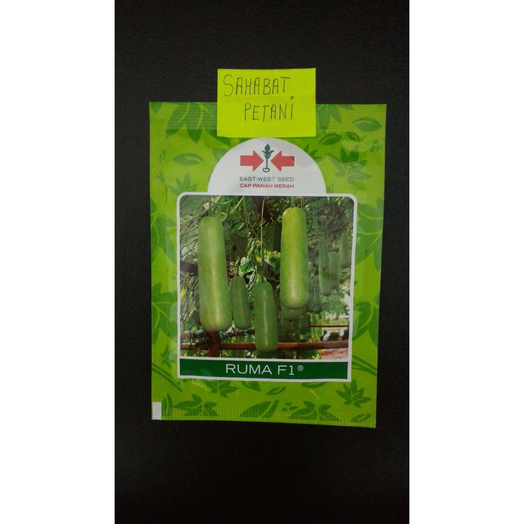 Benih Labu Siam Air Ruma 30 Butir