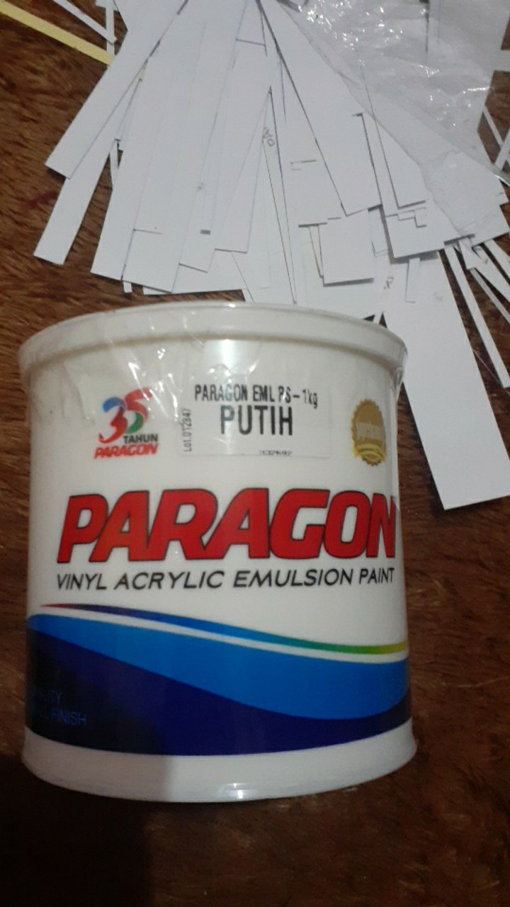 Cat Paragon 1 Kg