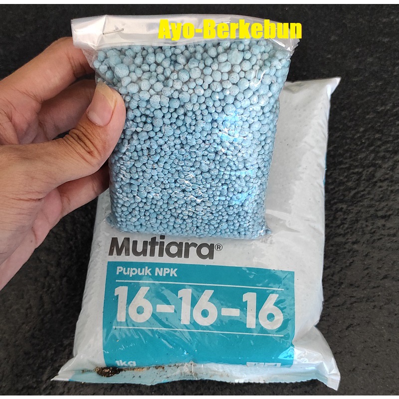Pupuk NPK 16 16 16 (Repacking) - pupuk NPK biru 16-16-16 200 gram - Pupuk NPK Seimbang - NPK Mutiara