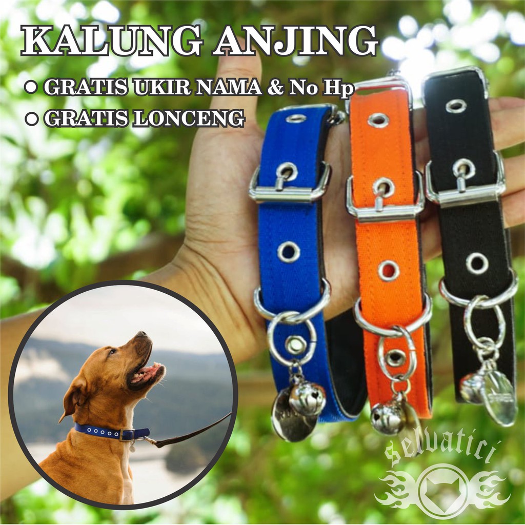 kalung anjing nilon super kuat gratis kustom liontin nama bahan stanlist anti karat model gesper